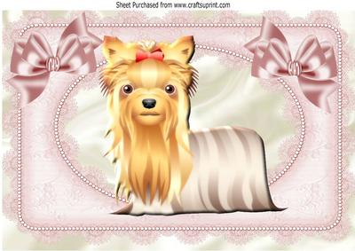 Cute Yorkie Dog with Bows in Lace Frame A4