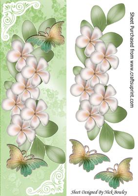 Cascading Cream Flowers with Rainbow Butterflies Tall Dl