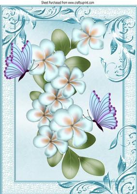 Pretty Blue Flowers with Butterflies in Ornate Frame A4