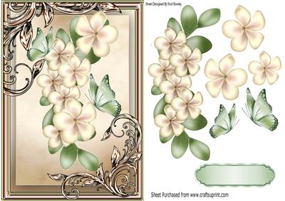 Pretty Cream Flowers with Green Butterflies in Ornate Frame