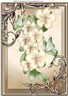 Pretty Cream Flowers with Green Butterflies A4