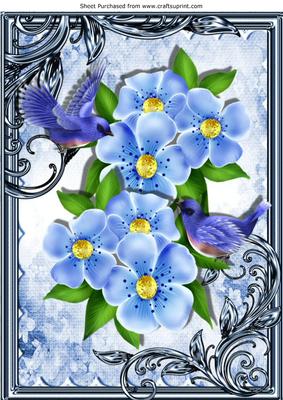Blue Birds and Blue Flowers in Ornate Frame A4