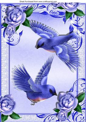 Blue Birds Flying and Blue Roses in Ornate Frame A4