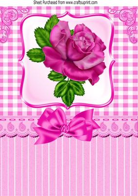 Pretty Cerise Rose with Gingham and Bow A4