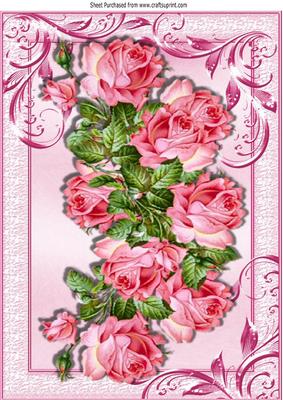 Beautiful Wild Pink Roses in Ornate Frame A4
