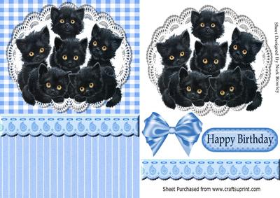 Six Cute Little Black Kittens on Lace with Bow