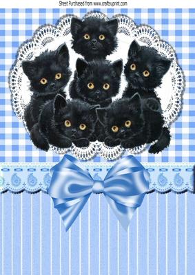 Six Cute Little Black Kittens on Lace with Bow A4