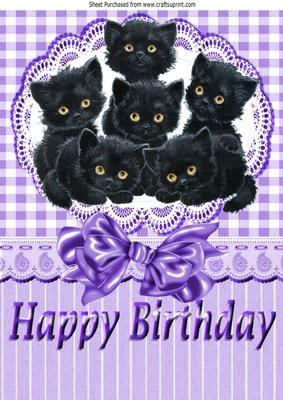 Six Cute Little Black Kittens on Lace with Bow A4