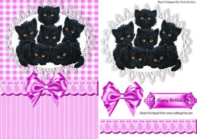 Six Cute Little Black Kittens on Lace with Pink Bow