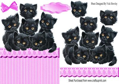 Six Cute Little Black Kittens Over the Edge Card