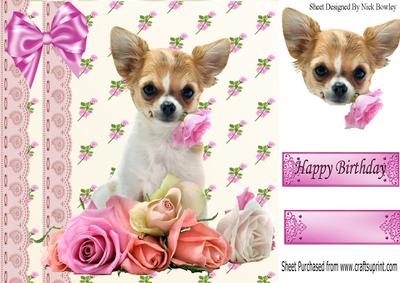 Cute Little Chichuaha Among the Roses with Bow 8x8