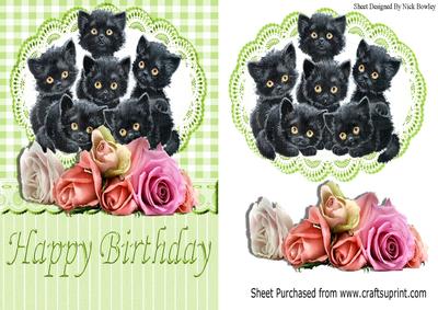 Cute Kittens Amongst the Roses with Gingham & Lace