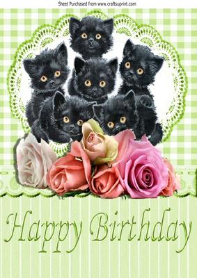 Cute Kittens Amongst the Roses with Gingham & Lace A4