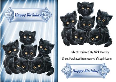 Blue Ray of Light with Cute Black Kittens