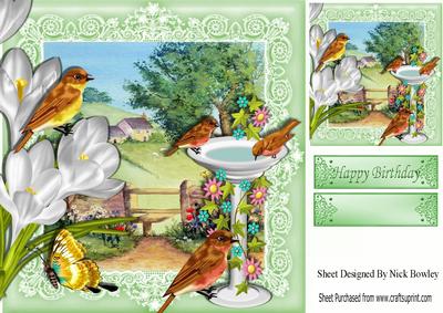 Pretty Birds in the Spring with Meadows and Cottages 8x8