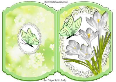 Pretty White Crocuses with Butterfly on Lace