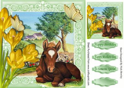 Pretty Foal Laying Down in the Meadow with Crocuses 8x8