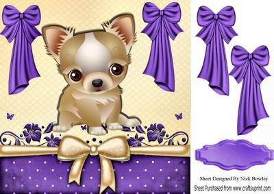 Cute Little Chichuaha with Big Purple Bows 8x8