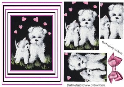 Cute Little Westies in the Grass in Striped Frame Pyramids