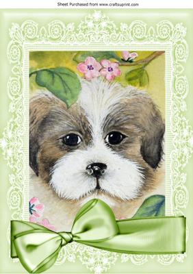 Cute Puppy Amongst the Flowers with Big Bow A4