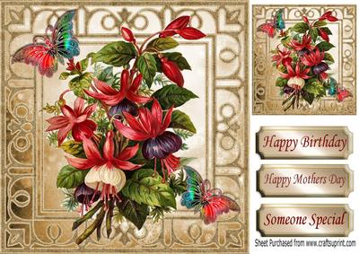 Pretty Fuchsia with Butterflies in Ornate Frame 8x8