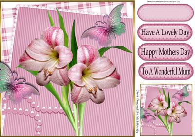 Pretty Pink Lily with Butterflies in Ornate Frame 8x8