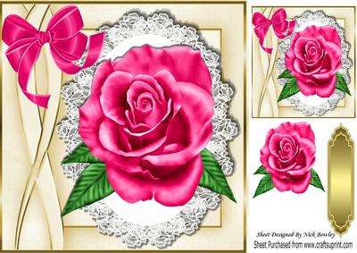 Beautiful Big Cerise Pink Rose on Lace with Satin Bow 8x8