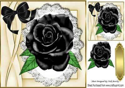 Beautiful Big Black Rose on Lace with Satin Bow 8x8