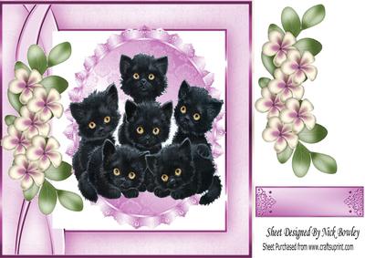 Sweet Little Black Kittens on Lace with Flowers, 8x8