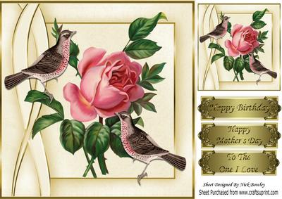 A Single Pretty Pink Rose with Birds 8x8