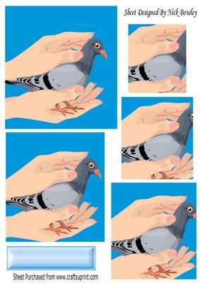 A Lovely Pigeon Cupped in a Pair of Hands Pyramids