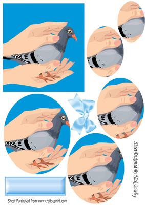 A Lovely Pigeon Cupped in a Pair of Hands Oval Pyramids