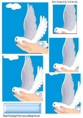 A Lovely Dove in a Hand Pyramids