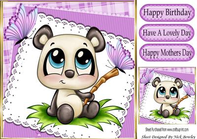 Cute Panda with Butterflies on Lace 8x8