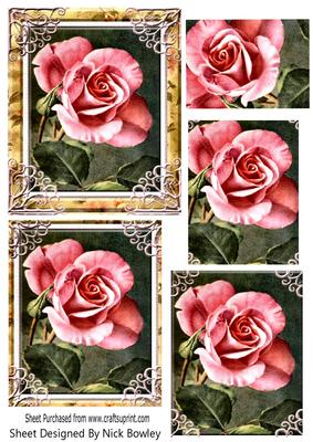 Single Pink Rose in Gold Ornate Frame Pyramids
