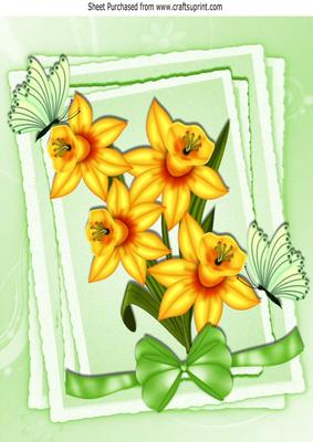 Pretty Golden Daffodils with Butterflies and Bow A4