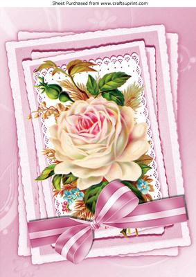Pretty Pink Vintage Rose on Lace with Striped Bow A4