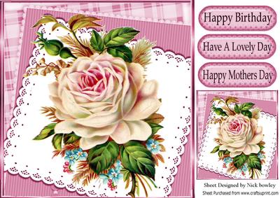 Pink Vintage Rose on Check and Lace 8x8