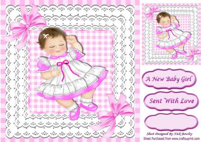 Sweet Dreams Little Baby Girl in Lcerise on Lace 8x8