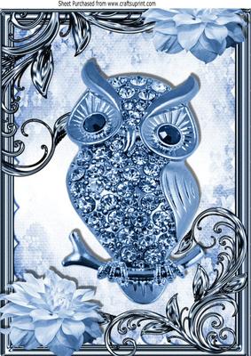 Blue Sparkle Owl with Flowers in Ornate Frame A4