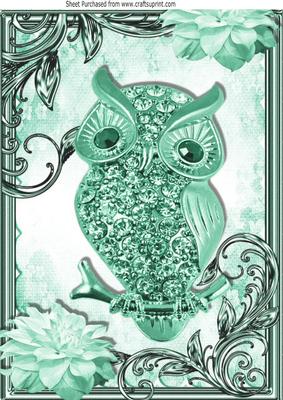 Turq Sparkle Owl with Flowers in Ornate Frame A4