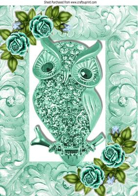 Turq Sparkle Owl with Turq Roses in Ornate Frame A4
