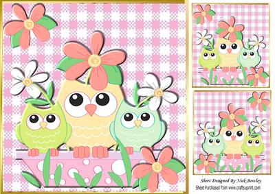 Owl Family in Peach with Flowers 8x8