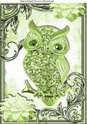 Green Sparkle Owl with Flowers in Ornate Frame A4