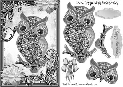Silver Sparkle Owl with Flowers in Ornate Frame