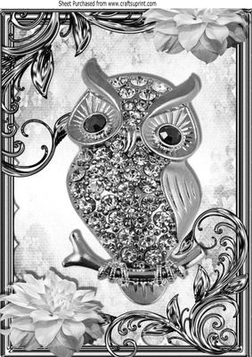 Silver Sparkle Owl with Flowers in Ornate Frame A4