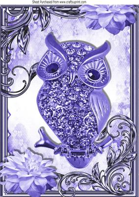 Purple Sparkle Owl with Flowers in Ornate Frame A4