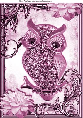 Pink Sparkle Owl with Flowers in Ornate Frame A4