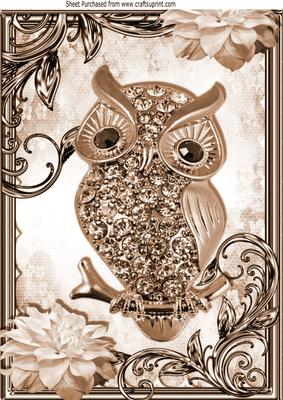 Brown Sparkle Owl with Flowers in Ornate Frame A4