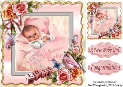 A Little Princess, Sweet Baby Girl with Roses & Bird 8x8
